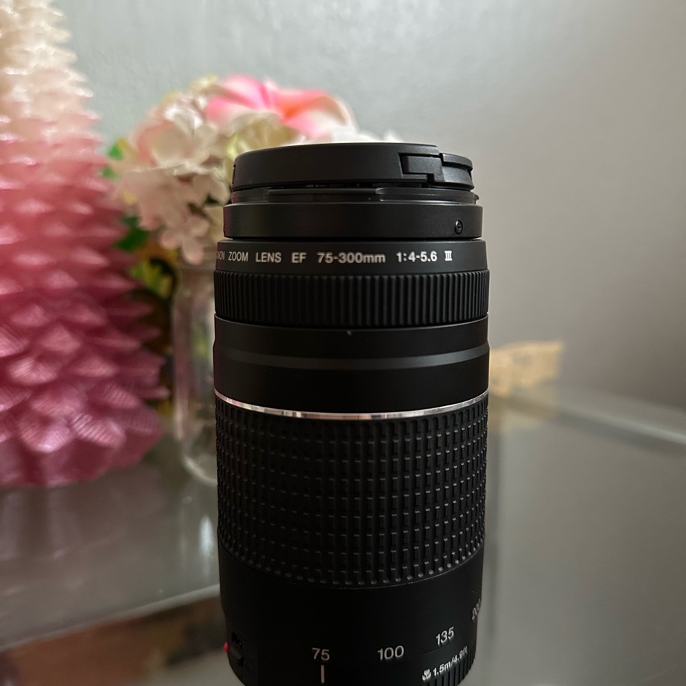Canon EF 75-300mm Black Zoom Lens and 18-55 lens